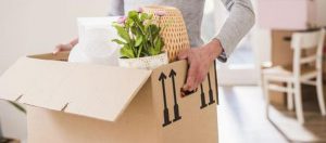 Qualities of Ideal Packers and Movers 