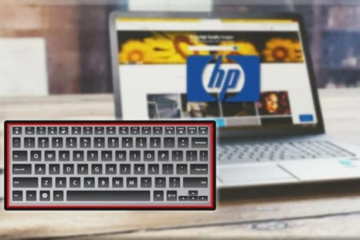 HP Laptop Keyboard not Working