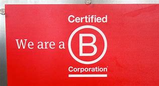 What Is a Guaranteed B Corp and For what reason
