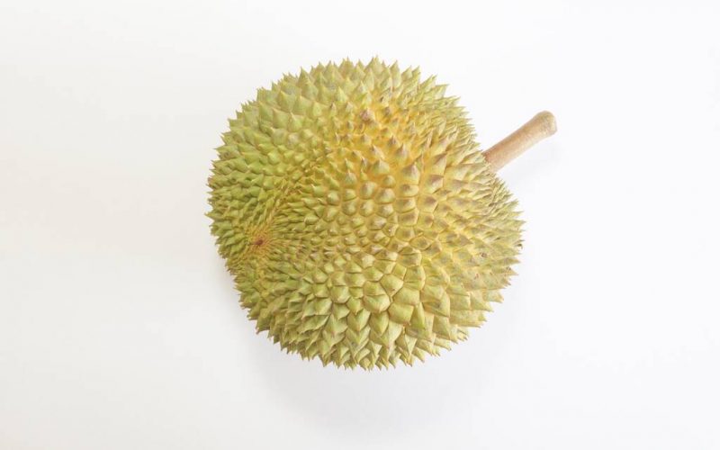 Facts About Kungfu Durian