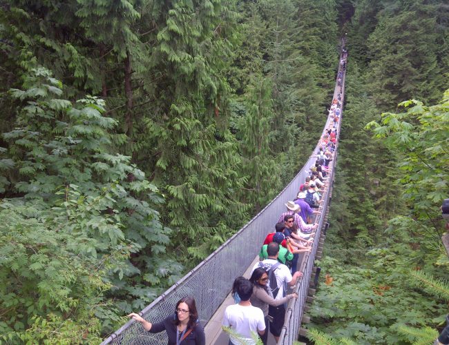 Great Places to Take Your Family in Vancouver
