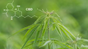 How CBD Can Assist Women’s Health Issues