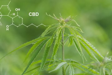 <strong>How CBD Can Assist Women’s Health Issues</strong>