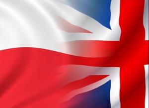 English to Polish Translation for SEO