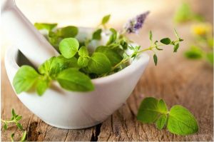 How herbs can Enhance Mental Clarity