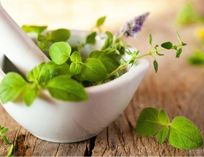 How herbs can Enhance Mental Clarity