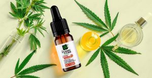 CBD Calaoshop is a Great Alternative to CBD Shopfrance and Ferme Du CBD