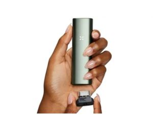 Things You Should Know Before Buying Pax Plus
