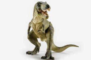 How Did The Different Dinosaurs Pursue Their Prey?