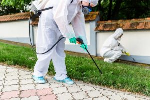 Is Private Nuisance Control Safe and Eco-Accommodating?