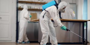 Pest Control: Keeping Your Home Safe and Pest-Free