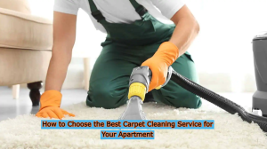 Best Carpet Cleaning Service for Your Apartment