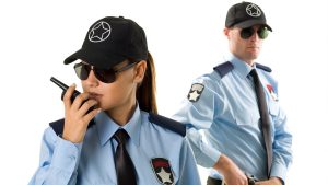 Securing Hamilton  ALPHA Security’s Bespoke Solutions for Your Peace of Mind