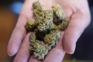 Benefits of Weed