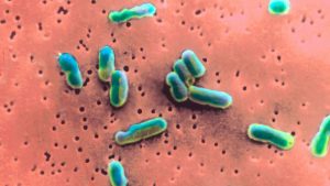 Causes and Treatment of Stomach Bacterial Infections