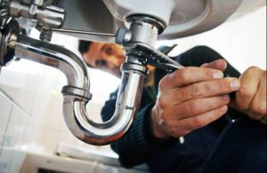 Rodents in the Pipes: How Rats Can Impact Your Plumbing and Home