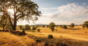 Unpacking the Expertise of Zimbabwean Safari Guides