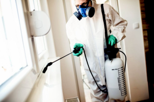 Top Home Services Every Homeowner Needs for Optimal Safety and Security