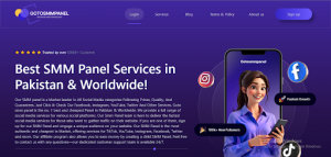 Why SMM panel is a Particular benefit for Associations |gotosmmpanel