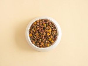 Online Pet Store in Pakistan: The Key to Optimal Pet Nutrition