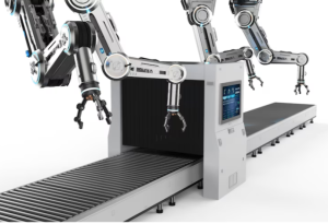 The Unseen Hands: The Indispensable Role of Vacuum Manipulators in Wafer Processing