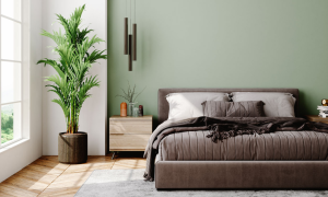 5 Practical Tips for Improving Your Home