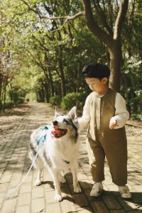 Scent Work Training for Dogs Near Me: Boost Your Dog’s Skills