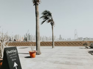 Office Cleaning Services Dubai for a Healthy, Organized and Professional Workplace
