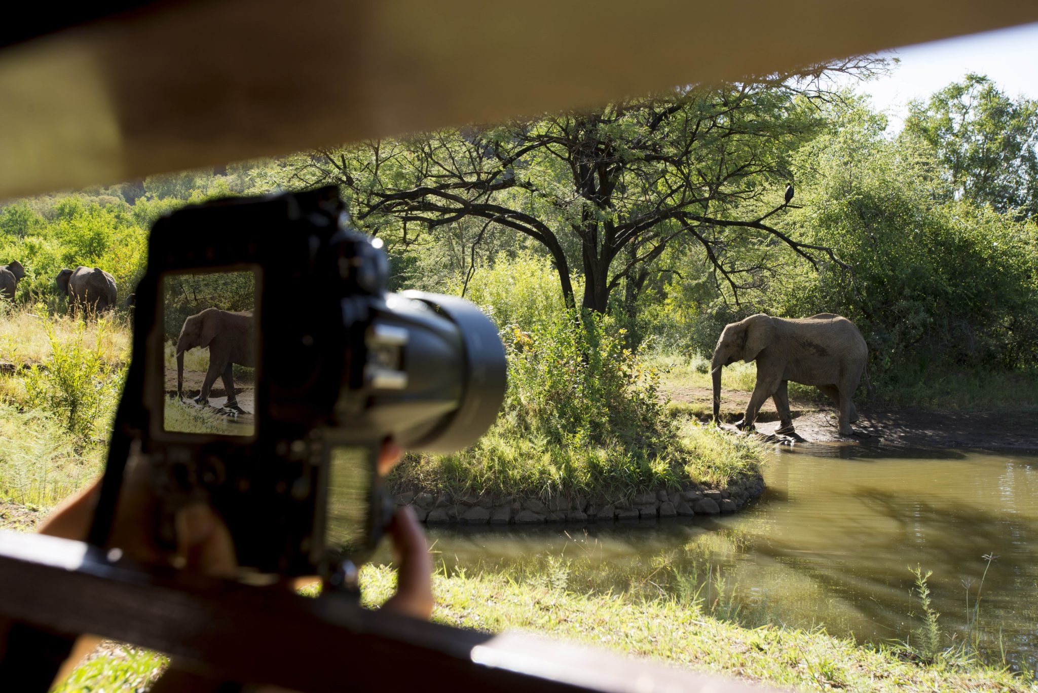 South Africa for First-Time Travellers: How to Go Beyond the Typical Itinerary